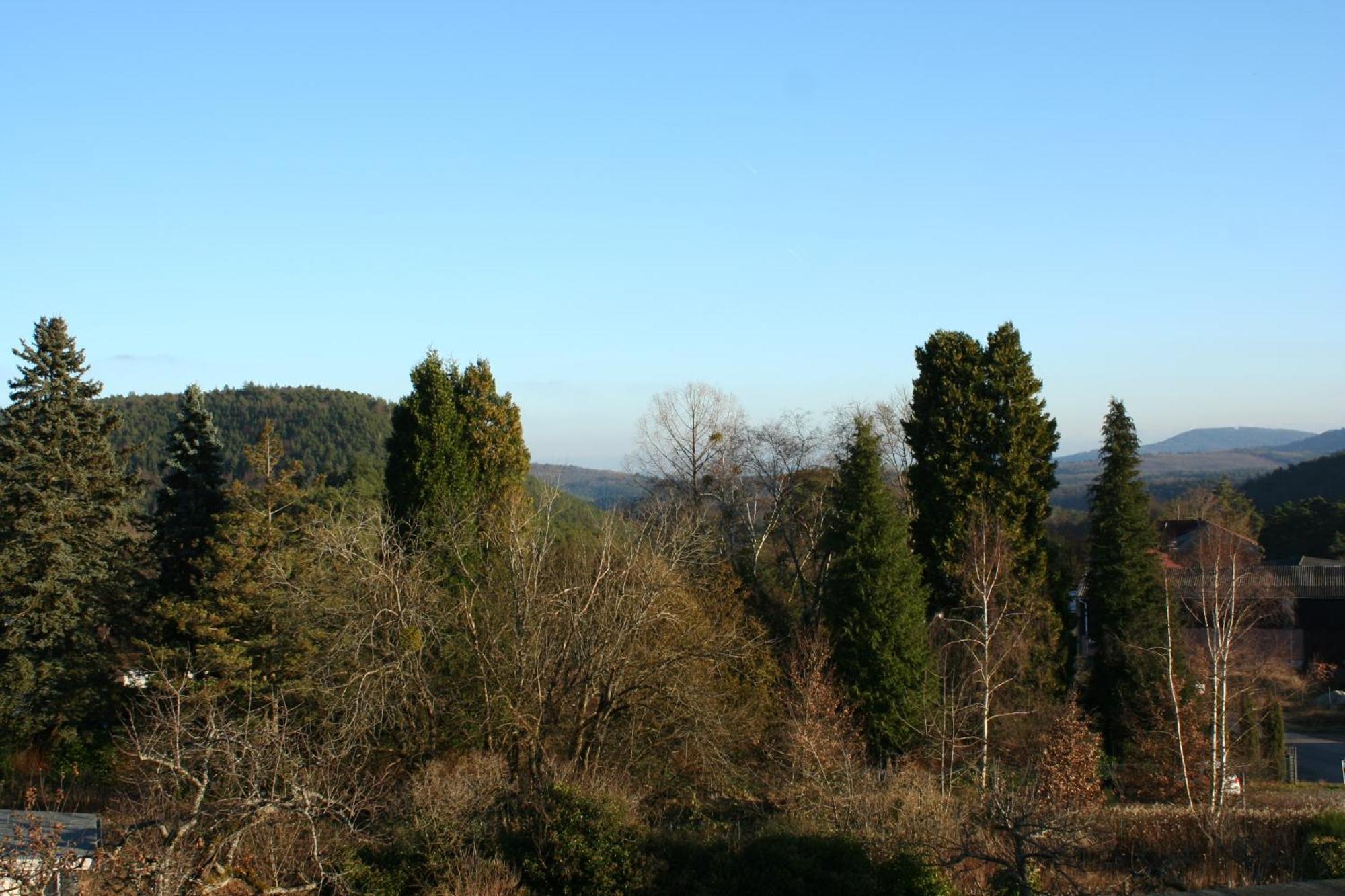 Loewenburg *
